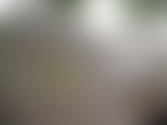 Կիրառվում է բարձր փոխարժեքով տարադրամի փոխանակման պատրվակով խարդախությամբ գումարներ հափշտակելու նոր մեխանիզմ