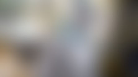 В Индии вспыхнула неизлечимая вирусная инфекция, которая может вызвать пандемию.