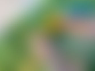 Carrefour-ից Yandex Go-ի միջոցով պատվերներ կատարելով՝ օգտատերերը կարող են հավաքել երկրի վայրի կենդանիների բնակության քարտեզը և ստանալ «Հայաստանի գազանների ընկեր» նշանը