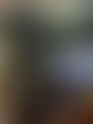 Երևանում «Tesla»-ն դուրս է եկել երթևեկելի գոտուց, անցել բազալտե եզրաքարի վրայով և կոտրել երկաթե պաշտպանիչ ցանկապատը․ վարորդը եղել է ոչ սթափ