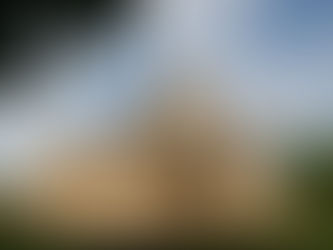 Հայրապետի տնօրինությունը չի կարող դատական վերահսկողության առարկա դառնալ