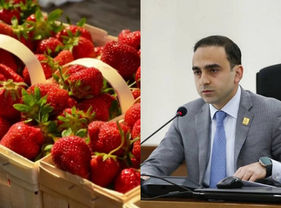 «Հրապարակ». «Հրապարակ»․ Ելակն արտահանում են թուրքականի անվան տակ