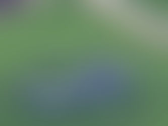 Ամերիկյան ռազմական ուղղաթիռը արտակարգ վայրէջք է կատարել Տոկիոյի մերձակայքում գտնվող բրնձի դաշտում