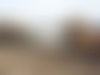 Ապօրինի հանքարդյունահանում Դարբնիկում. պետությանը պատճառված ավելի քան 10 մլն դրամի վնասը վերականգնվել է