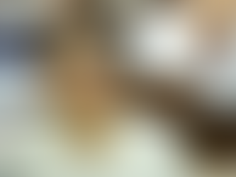 Երբ փողոցի խուժանին բերում են խորհրդարան՝ ունենում ես այն, ինչ ունենք․ Լիլիթ Գալստյան