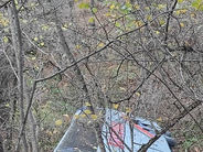 Ավտոբուսի վթարի հետեւանքով տուժածների թիվը հասել է 30–ի. մեկի վիճակը կայուն ծանր է