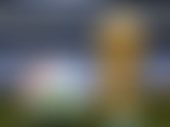 Նիդերլանդներում կոչ են արել բnյկոտել ԱՄՆ-ում կայանալիք ֆուտբոլի աշխարհի առաջնությունը