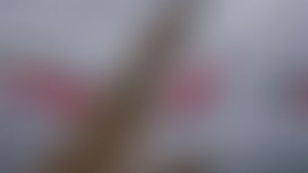 Իրանի ԻՀՊԿ-ն հայտարարել է տարածաշրջանում ԱՄՆ 27 ռազմաբազայի վրա հարձակումների նոր ալիքի մասին