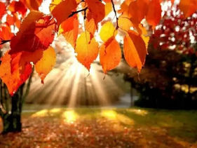 Սպասվում է առանց տեղումների եղանակ. ջերմաստիճանը կբարձրանա ևս 2-3 աստիճանով