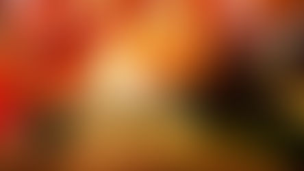 Սպասվում է առանց տեղումների եղանակ. ջերմաստիճանը կբարձրանա ևս 2-3 աստիճանով