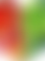 Բժիշկը սրտի առողջության համար խորհուրդ է տվել սննդակարգում ներառել մեկ մթերք