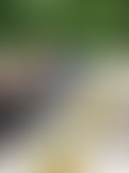 «Հրապարակ»․ Բիզնեսը դժգոհ է Փաշինյանից