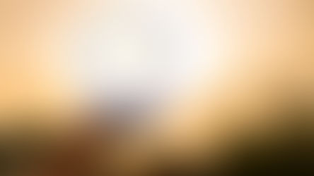 Վոլոդինան անվանվել է 2026 թվականի ֆավորիտին. այս կենդանակերպի նշանը կհավաքի ամենաշատ բոնուսները