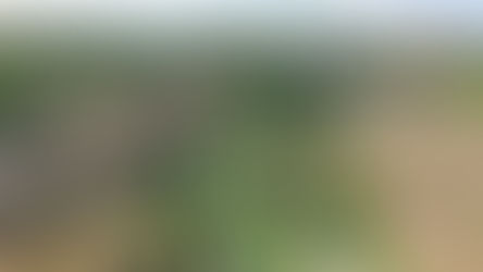 Հրազդանի կիրճում բազմաֆունկցիոնալ հանգստի գոտի կկառուցվի. Այժմ այն անմխիթար վիճակում է. Նոր որոշում