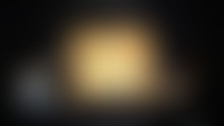 Վինսենթ վան Գոգի «Փարիզյան սիրավեպեր և վարդերի կույտեր բաժակի մեջ» նկարը վաճառվել է Նյու Յորքի Sotheby’s աճուրդում 62,7 միլիոն դոլարով, հաղորդում է ANP-ին