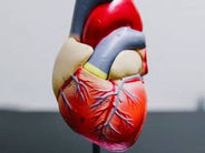 Սրտաբանը խոսել է սրտի կաթվածի ատիպիկ դրսևորումների մասին