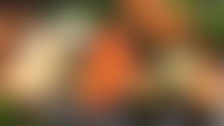 Ածխաջրերի ցածր պարունակությունը սննդակարգում մեղմացնում է շիզոֆրենիայի ախտանշանները.