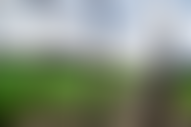 Ադրբեջանցիները կրակում են, սպառնում. գյուղտեխնիկան չի կարողանում մտնել Արցախի Հացի գյուղի դաշտեր