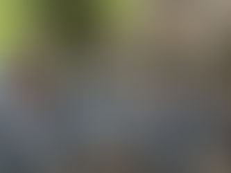 Քիչ առաջ Հանրապետության հրապարակից կոշտ ձևով բերման է ենթարկվել Նարեկ Մալյանը. Մելիքյան