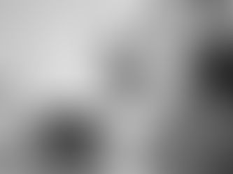 «Հրապարակ». Մամիկոն Ասլանյանը կալանքն օգտագործել է օգուտով՝ 50 կգ նիհարել է