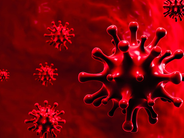 510 նոր դեպք, 11 մահ. կորոնավիրուսային իրավիճակն այսօր Հայաստանում