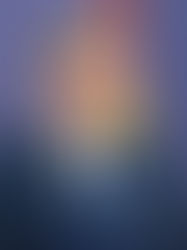 Սպիտակ տնից, Թեհրանից կամ տարածաշրջանից ցանկացած հայտարարություն միայն բարձրացնում է նավթի գները․ Վուչիչ