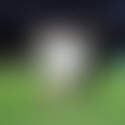 ՉԼ․ Մադրիդի «Ռեալը» 3։0 հաշվով հաղթել է «Մանչեսթեր Սիթիին», ՊՍԺ-ն 5։2 հաշվով՝ «Չելսիին»․ այլ արդյունքներ