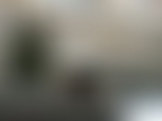 Նոր մանրամասներ՝ Արաբկիր վարչական շրջանի ղեկավարի աշխատակազմում իրականացվող քննչական գործողությունների վերաբերյալ