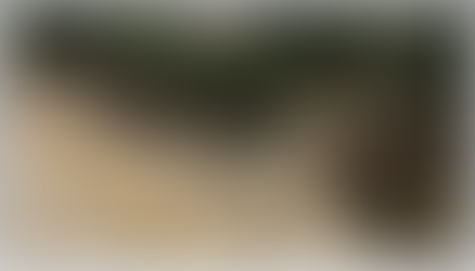 Հարավաֆրիկյան հանրապետությունում ջրհեղեղ է առաջացել. կան զոհեր