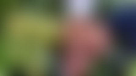 Քաղցկեղի դեմ պաշտպանությունը գործում է. սննդաբանը անվանել է խաղողի ամենաառողջ տեսակը