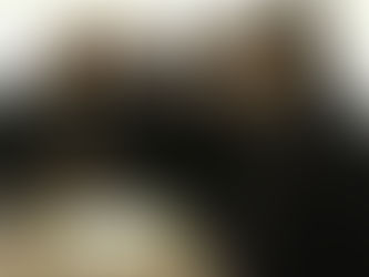 Երդվում եմ, որ ՀՀ տարածքից ոչ մի միլիմետր չի զիջվել․ Փաշինյան