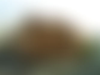 Ընթացիկ տարում բացահայտվել է հանցավոր 15 խումբ, արգելափակվել` տելեգրամյան 30 հարթակ