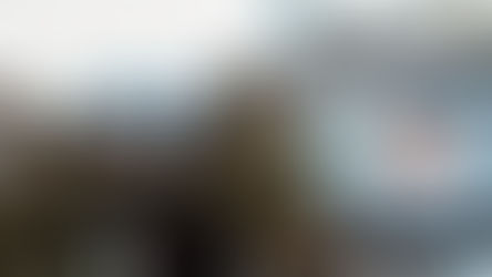 Քրեական ոստիկանները հանցավոր խումբ են բացահայտել. կատարվել են մեծամասշտաբ խուզարկություններ, կան ձերբակալվածներ