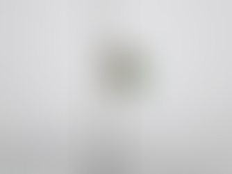 Թուրքմենստանում արտահերթ նախագահական ընտրություններ տեղի կունենան