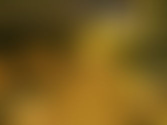 Իսրայելում կառավարության դեմ ցույցին մասնակցել է կես միլիոն մարդ