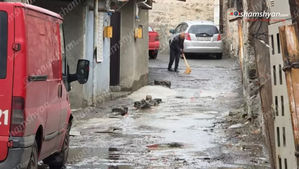 Հակասանիտարական վիճակ է Նորագյուղում