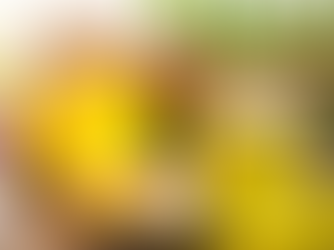 Վրաստանից մեղրի արտահանումն աճել Է ութ անգամ