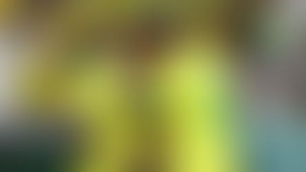 Այս պահին Ռաֆինյան ոչ միայն ակումբի, այլև ամբողջ աշխարհի լավագույն խաղացողն է․ Նեյմար