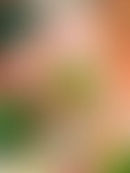 «Փաստ». Գնաճը նորանոր ռեկորդներ է սահմանում