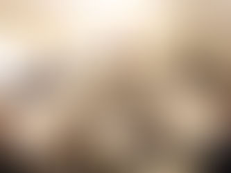 Ալեն Սիմոնյանը հանդիպել է ՆԱՏՕ-ում հավատարմագրված դեսպանների հետ