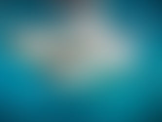 Կալիֆոռնիայում լողափերը փակվել են. հայտնի է շնաձկան հարձակման դեպք