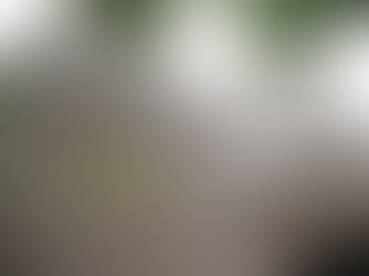 Ոչ սթափ վիճակում եկել է տուն, տեսնելով ոստիկաններին հայհոյել է․ քարեր նետել նրանց ուղղությամբ