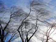 Մարտի 6-ին առանձին շրջաններում սպասվում է քամու ուժգնացում