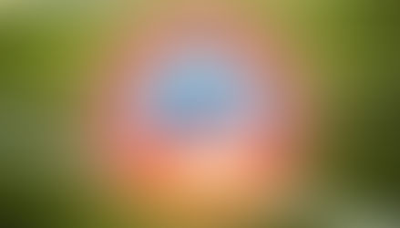 «Ժողովուրդ». Իշխանությունների նոր թեկնածու՞ ՀՖՖ-ում. ո՞վ է նախագահը և ինչու է դժգոհությունը հասել գագաթնակետին