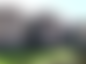 ․․․Երբ բացակայում է քաղաքական մշակույթը