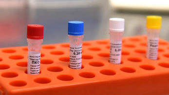 Մահացել է 42 մարդ․ կորոնավիրուսային վիճակագրությունը՝ Հայաստանում