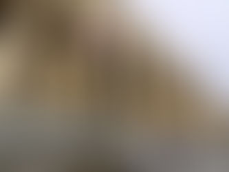 Վրաստանի նոր խորհրդարանի առաջին նստաշրջանը կգումարվի նոյեմբերին