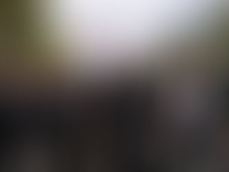 Տավուշյան շարժմանն է միացել նաև «Էջմիածին դաշինքը»