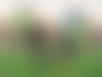 Հայաստանի Մ-17 հավաքականը կմեկնի Բելառուս