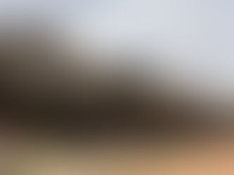 Ադրբեջանից բենզին ներկրած երկրորդ ընկերությունը «Շիշա ուորլդ» ՍՊԸ-ն է